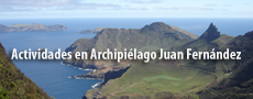 Banner 1