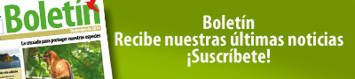 Banner boletín