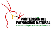 Logo Gefeei