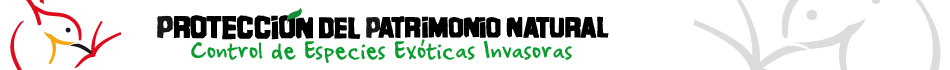 Logo Gefeei