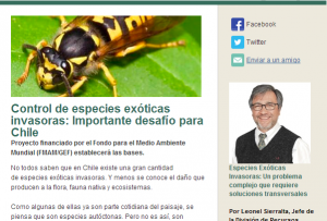 boletin_enero_snapshoot